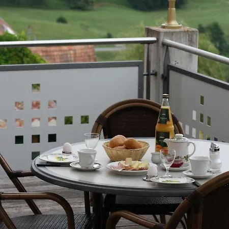 Storchen Inn 2*